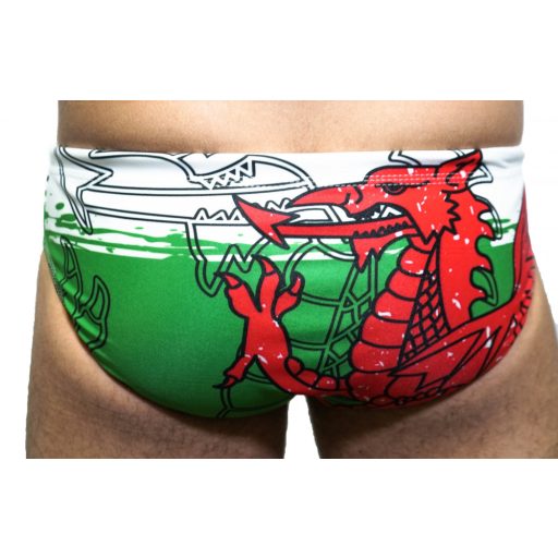 Wales 2 wp trunk