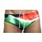 South Africa flag wp trunk